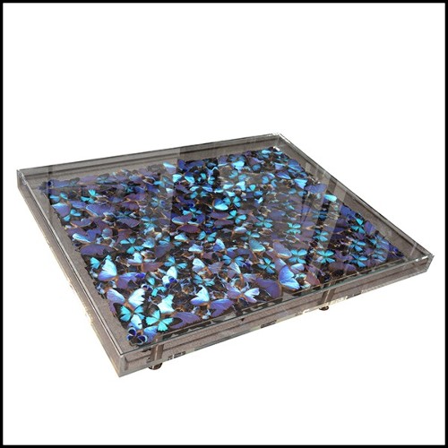 Coffee table with around 330 Butterflies under plexiglass top frame and with clear glass top PC-Blue Butterflies