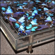 Coffee table with around 330 Butterflies under plexiglass top frame and with clear glass top PC-Blue Butterflies