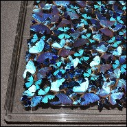 Coffee table with around 330 Butterflies under plexiglass top frame and with clear glass top PC-Blue Butterflies