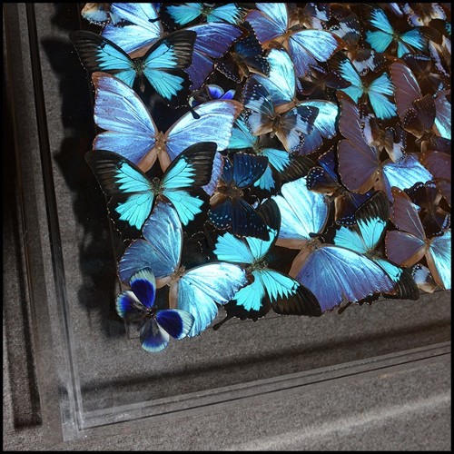 Coffee table with around 330 Butterflies under plexiglass top frame and with clear glass top PC-Blue Butterflies