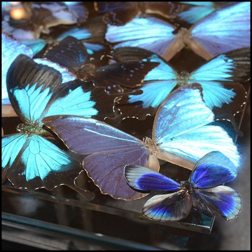 Coffee table with around 330 Butterflies under plexiglass top frame and with clear glass top PC-Blue Butterflies