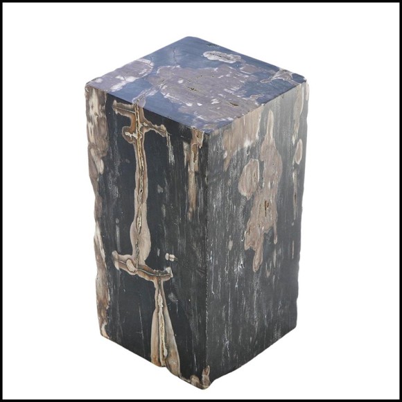 Side Table 221-Petrified Wood N°G