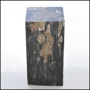 Side Table 221-Petrified Wood N°G