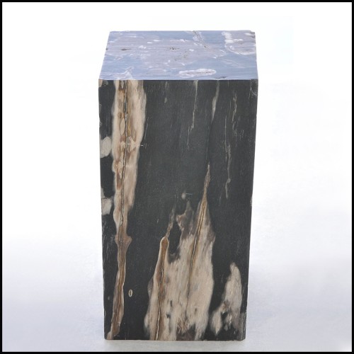 Side Table 221-Petrified Wood N°G