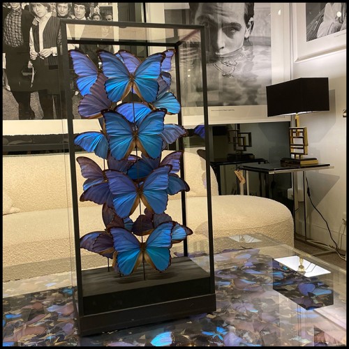 Butterflies Frame - Morpho Didius PC