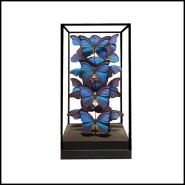 Butterflies Frame - Morpho Didius PC