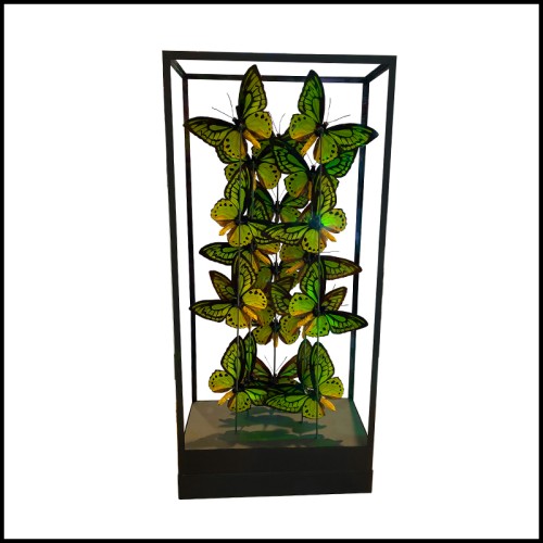 Butterflies Frame - Ornithoptera Priamus PC