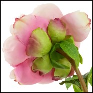 Bouquet 24 - Pivoines real touch 48 pcs/2 variétés