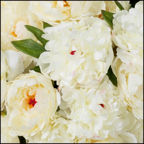 Bouquet 24 - Pivoines au toucher réaliste 48 pièces/2 variétés