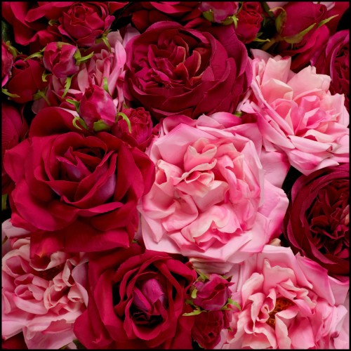 Bouquet 24 - Roses real touch 72 pcs/3 varieties