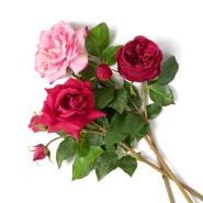 Bouquet 24 - Roses real touch 72 pcs/3 varieties