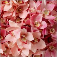 Bouquet 24 - Cymbidium Orchids real touch 36 pcs