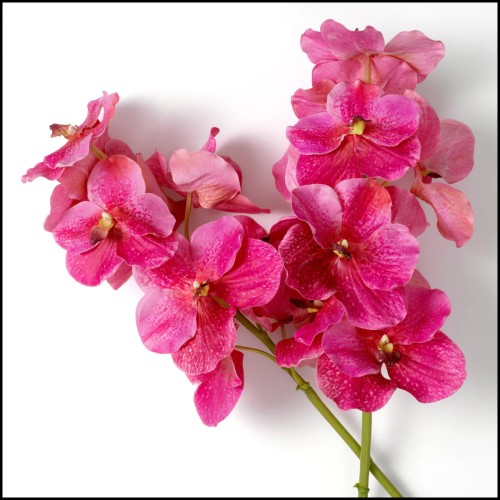 Bouquet 24 - Vanda Orchids real touch 24 pcs