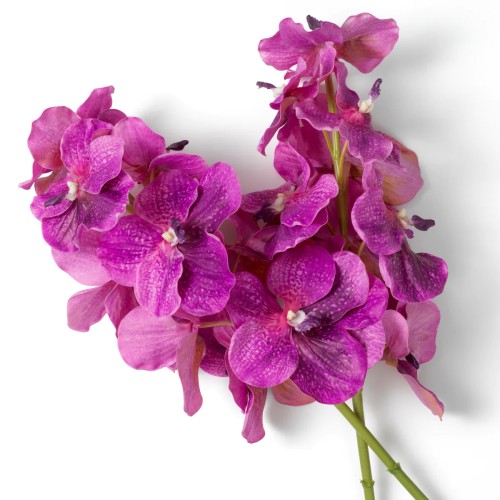 Bouquet 24 - Orchids