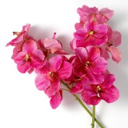 Bouquet 24 - Orchids