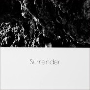 Print Philippe Vogelenzang 24 - Surrender